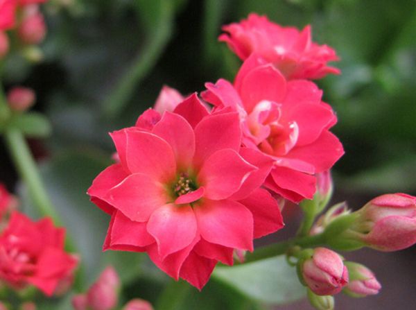 ���ٻ���ô��