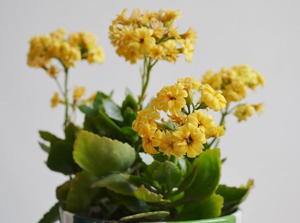 ���ٻ���ô��