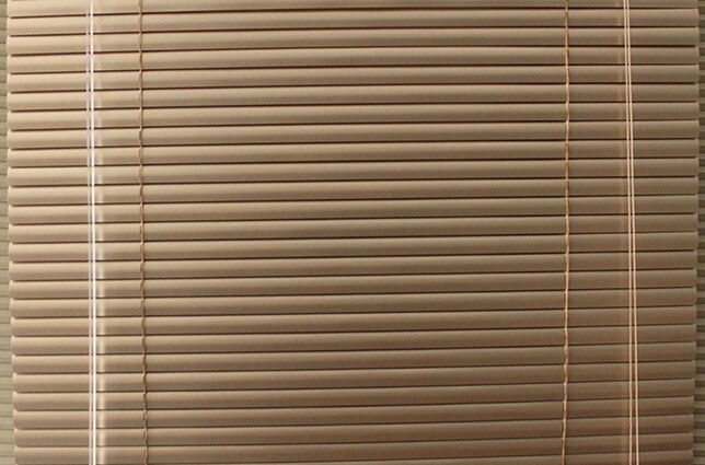 ����Ҷ��