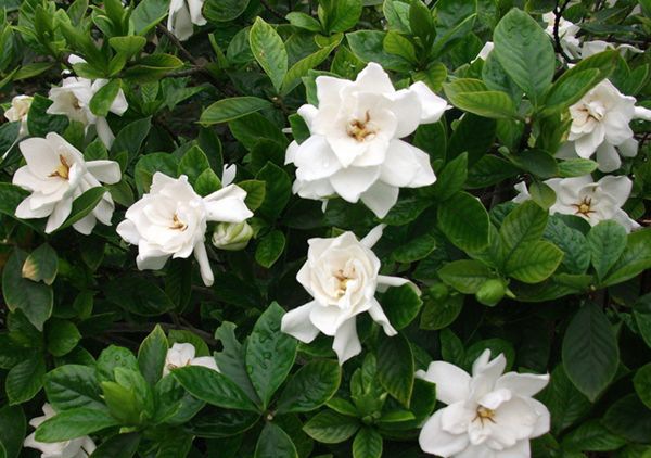 ���ӻ���ô��