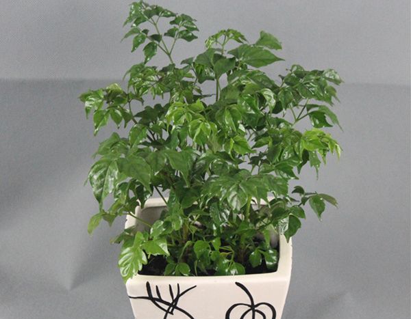 �Ҹ�����ô��