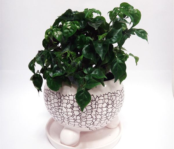 �Ҹ�����ô��