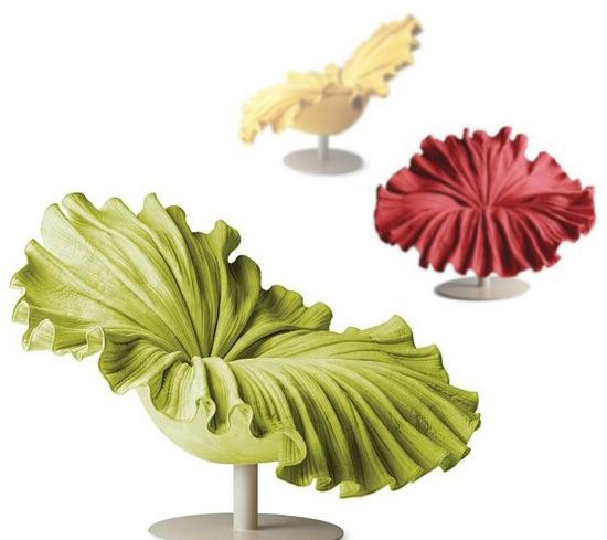 ������ά