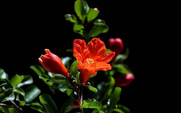 ʯ����ô��