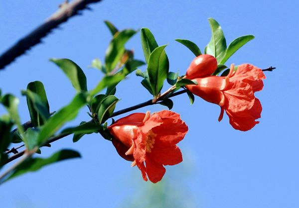 ʯ����ô��