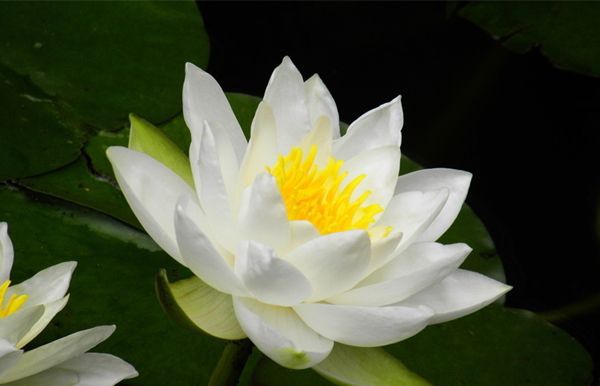 ˯����ô��