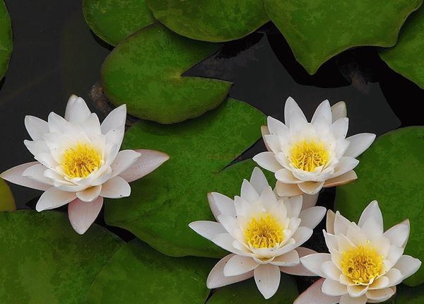 ˯����ô��