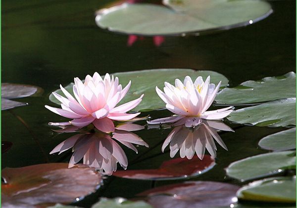 ˯����ô��