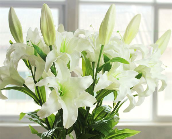 ��ˮ�ٺ���ô��