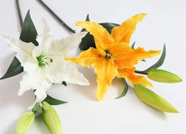 ��ˮ�ٺ���ô��