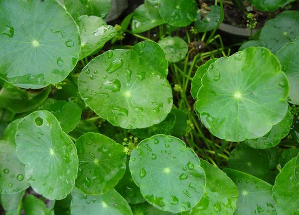 ��Ǯ����ô��