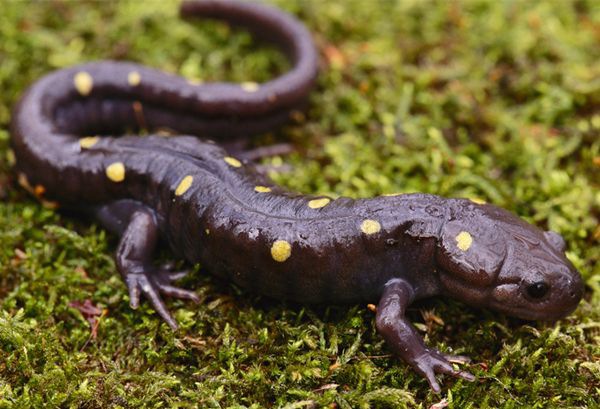 ��������ô��