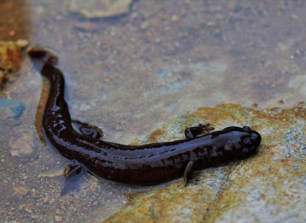 ��������ô��