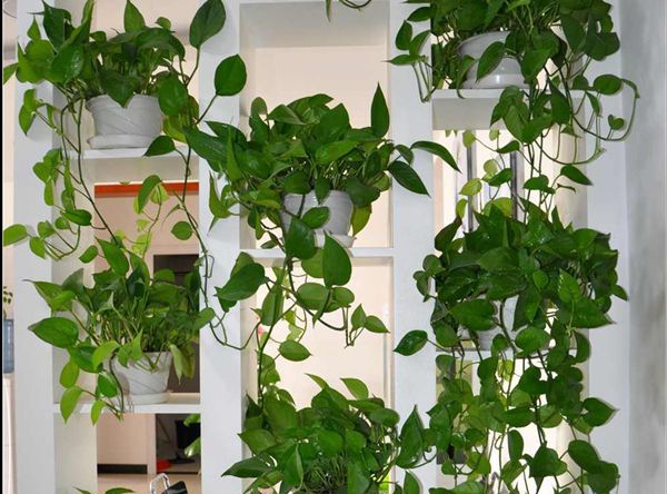 ������ô��