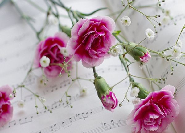 ����ܰ��ô��