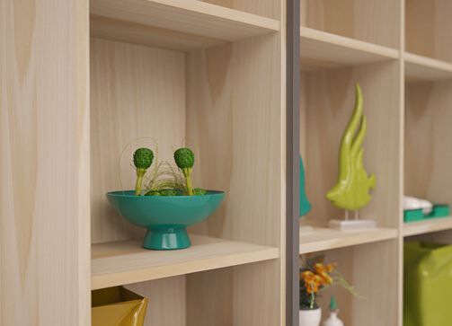 �ñ������