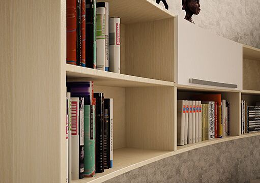 �ñ������