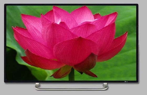 ����Һ�����ӻ�