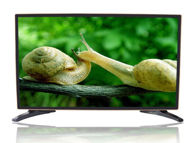 �����ӵ��ӻ�