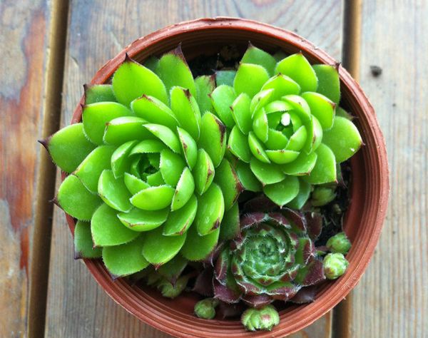 ��������ô��