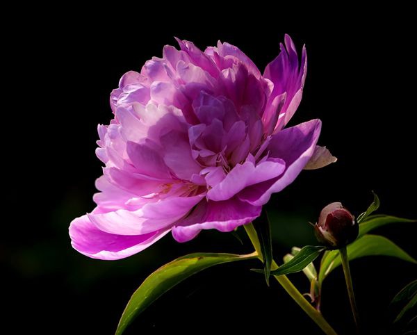 ��ҩ����ô��