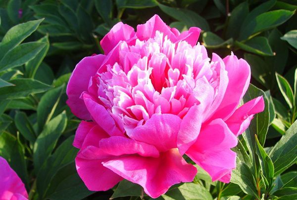 ��ҩ����ô��