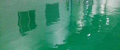 ������֬��ƺ��