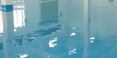 ������֬��ƺ��