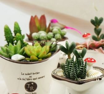 ����ֲ��