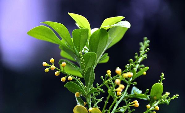 ��������ô��