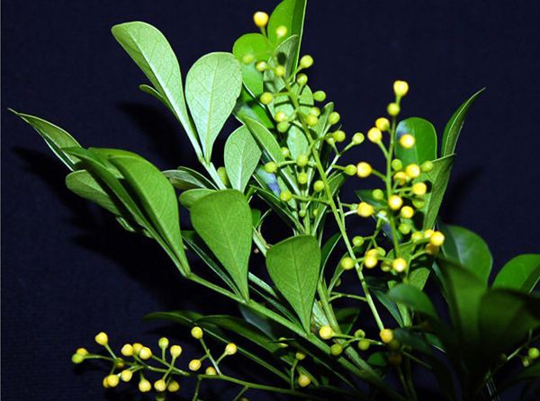 ��������ô��