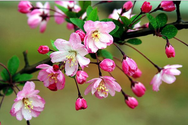 ���Ļ���ô��