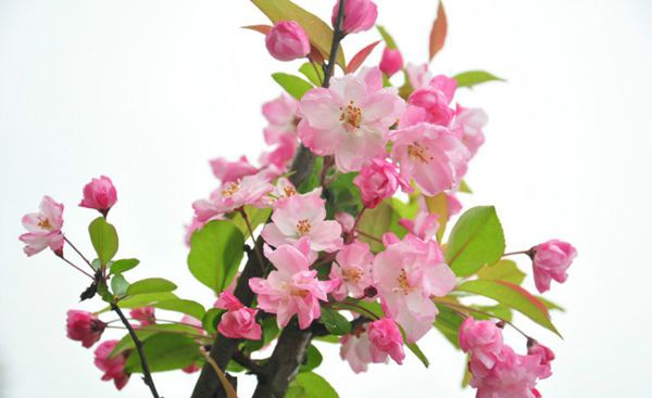 ���Ļ���ô��