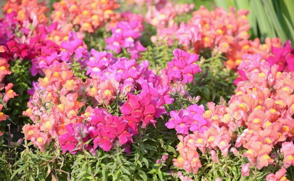 �������ô��