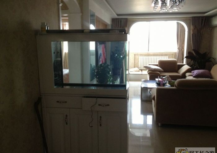 ������������װ��Ч��ͼ