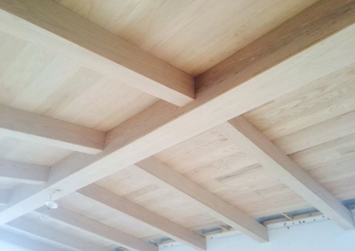 ������ʢ������װ��Ч��ͼ