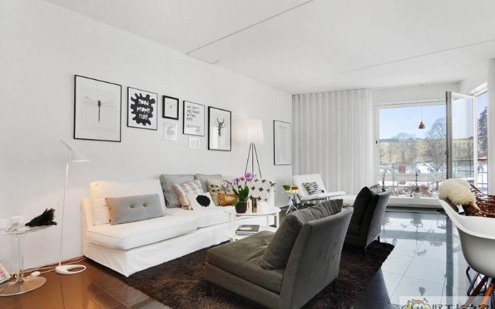 ����������ѧװ��Ч��ͼ