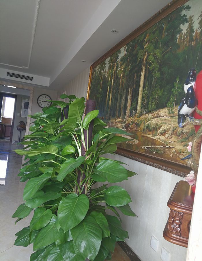 北京小屯路108号院装修效果图