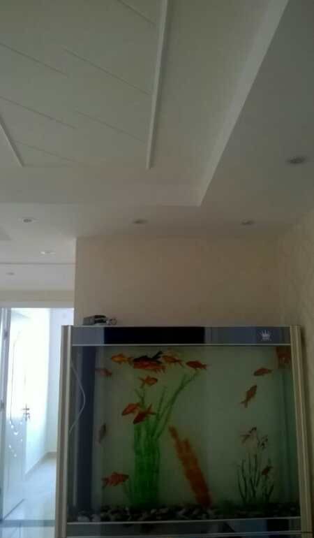 ����ʢ�Ƕ���װ��Ч��ͼ