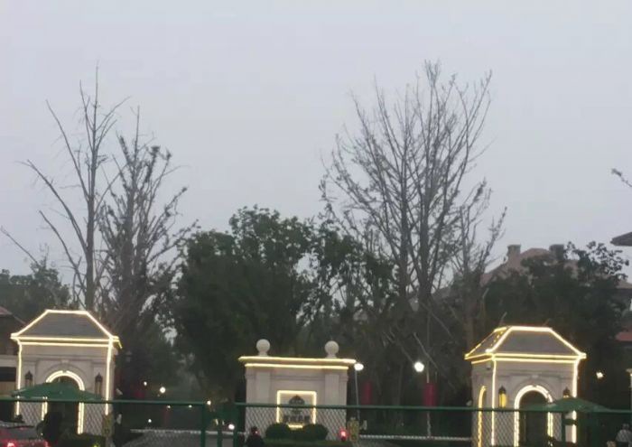 石家庄原河 别墅6-17装修效果图