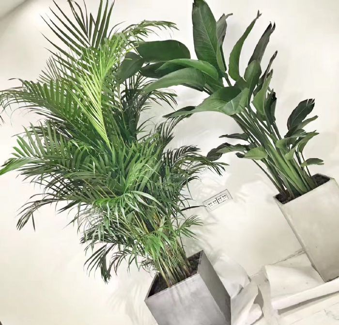 �Ϻ�����ͥװ��Ч��ͼ