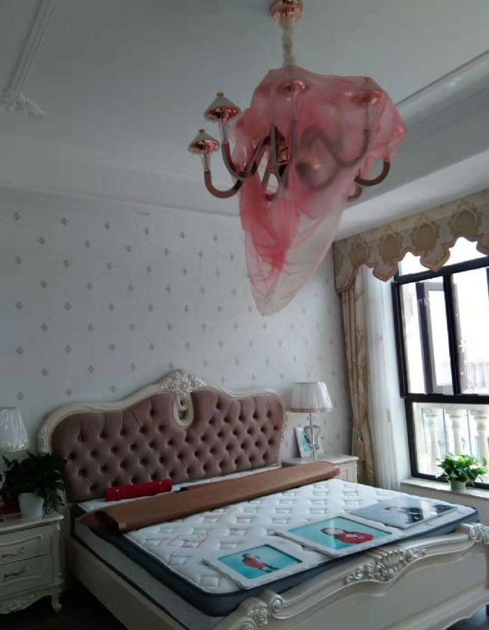 ��ͨ��ï��԰װ��Ч��ͼ