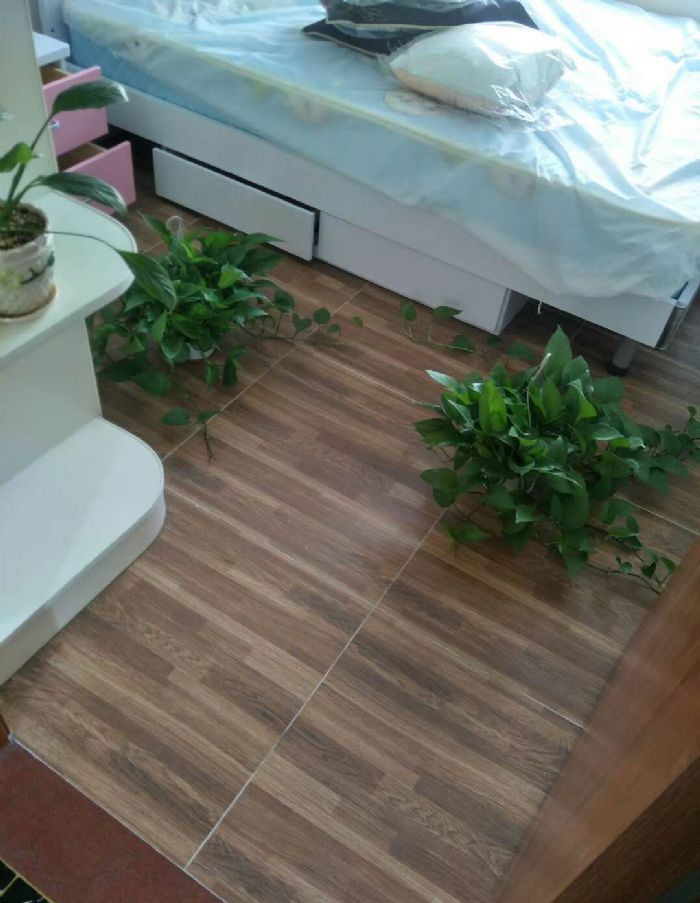 佛山莱茵鹭湖的装修效果图