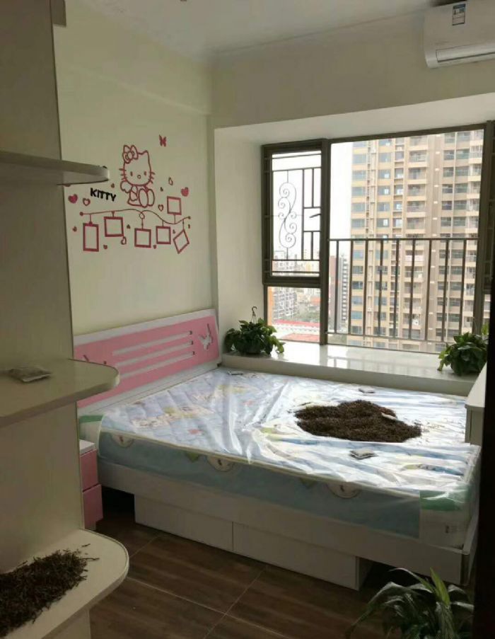 佛山莱茵鹭湖的装修效果图