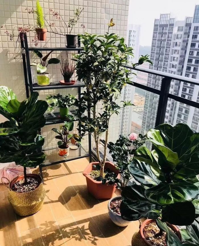 �Ϻ���̨�ռ����Ϣ�װ��Ч��ͼ