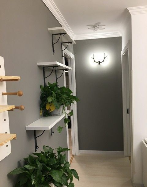 ��������ԷС��װ��Ч��ͼ