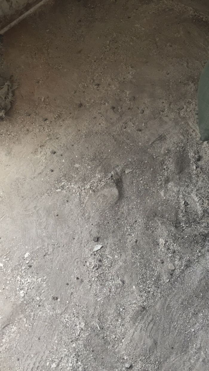 ���ݽ�ɳ��װ��Ч��ͼ