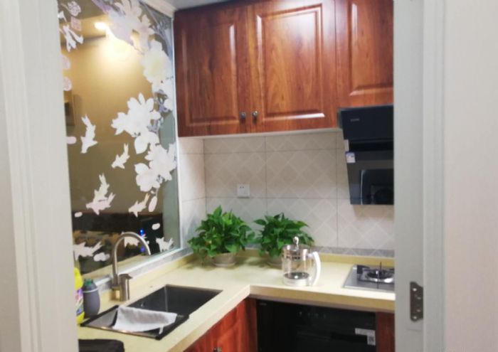 ������ɽ��԰װ��Ч��ͼ