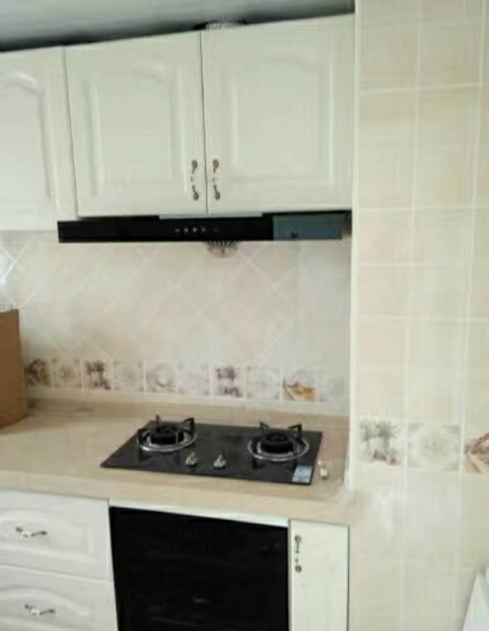 ������Դ����װ��Ч��ͼ