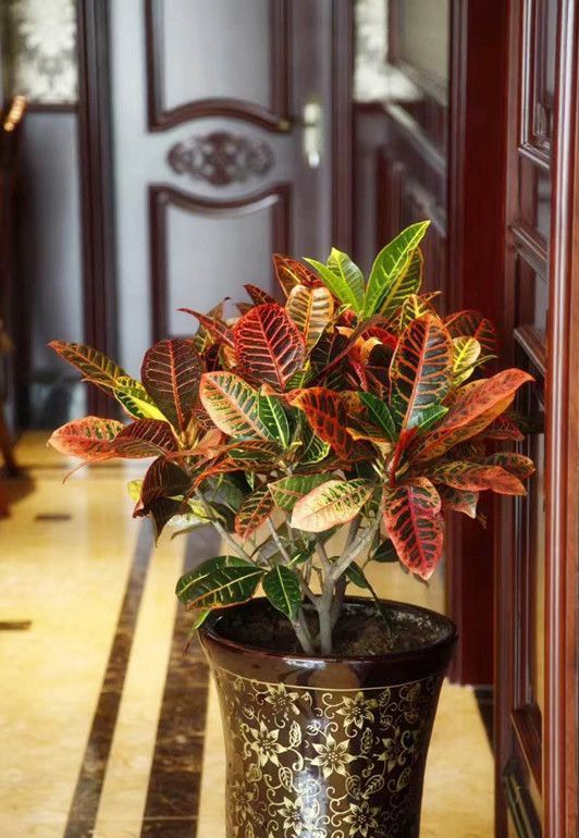 唐山南湖春晓 装修效果图